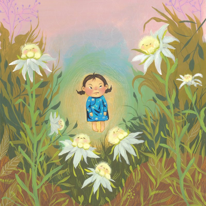 Номын зураг 2